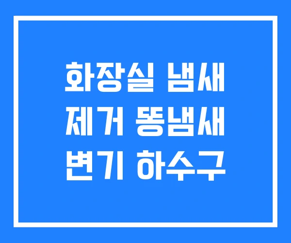 화장실 냄새 제거 똥냄새 변기 하수구