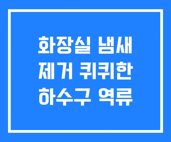 화장실 냄새 제거 퀴퀴한 하수구 역류