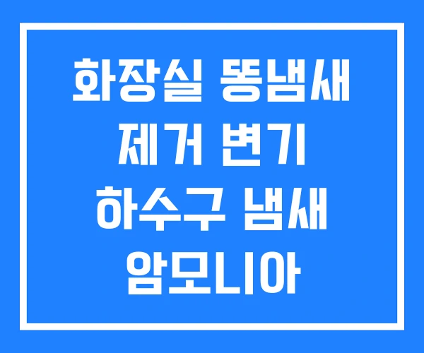 화장실 똥냄새 제거 변기 하수구 냄새 암모니아