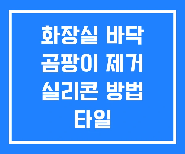 화장실 바닥 곰팡이 제거 실리콘 방법 타일