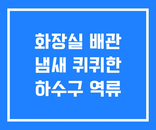화장실 배관 냄새 퀴퀴한 하수구 역류 화장실 배관 냄새 퀴퀴한 하수구 역류