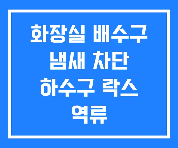 화장실 배수구 냄새 차단 하수구 락스 역류