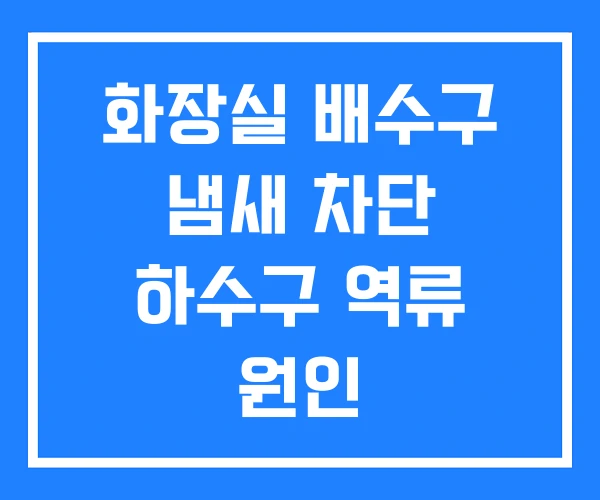 화장실 배수구 냄새 차단 하수구 역류 원인