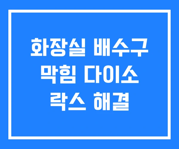 화장실 배수구 막힘 다이소 락스 해결
