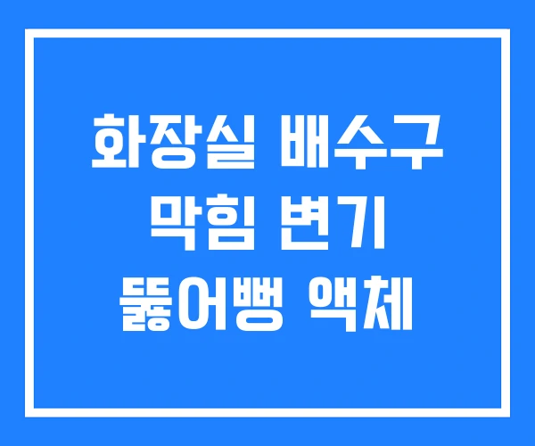 화장실 배수구 막힘 변기 뚫어뻥 액체