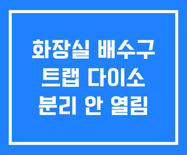 화장실 배수구 트랩 다이소 분리 안 열림 화장실 배수구 트랩 다이소 분리 안 열림