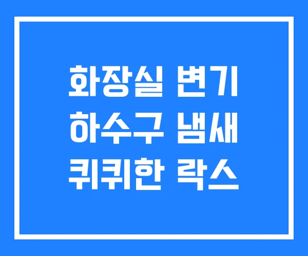화장실 변기 하수구 냄새 퀴퀴한 락스 화장실 변기 하수구 냄새 퀴퀴한 락스