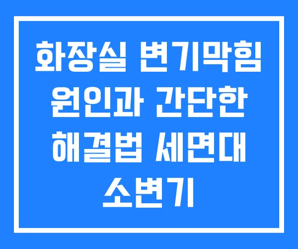 화장실 변기막힘 원인과 간단한 해결법 세면대 소변기 화장실 변기막힘 원인과 간단한 해결법 세면대 소변기
