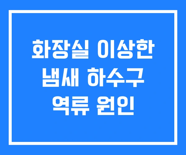 화장실 이상한 냄새 하수구 역류 원인 화장실 이상한 냄새 하수구 역류 원인