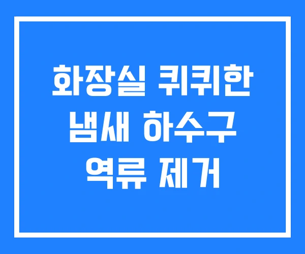 화장실 퀴퀴한 냄새 하수구 역류 제거 화장실 퀴퀴한 냄새 하수구 역류 제거