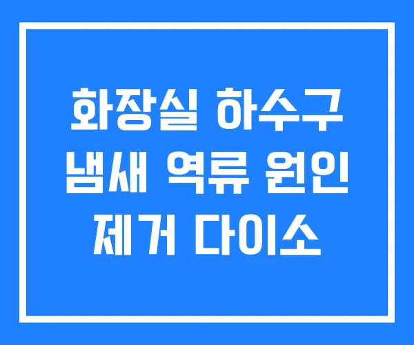 화장실 하수구 냄새 역류 원인 제거 다이소