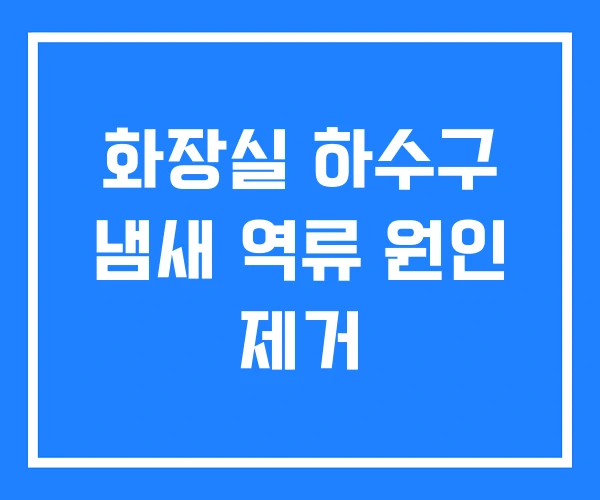 화장실 하수구 냄새 역류 원인 제거