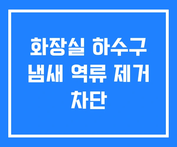 화장실 하수구 냄새 역류 제거 차단