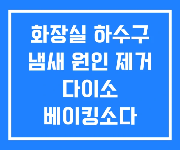 화장실 하수구 냄새 원인 제거 다이소 베이킹소다