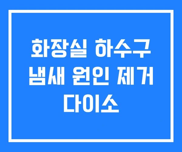 화장실 하수구 냄새 원인 제거 다이소