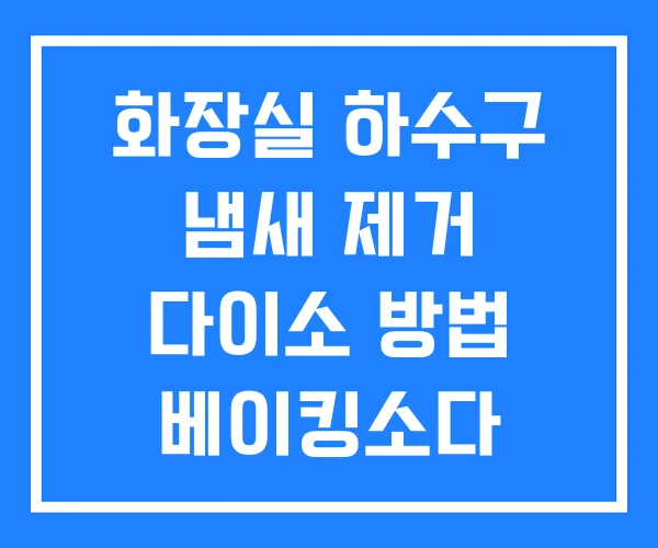 화장실 하수구 냄새 제거 다이소 방법 베이킹소다