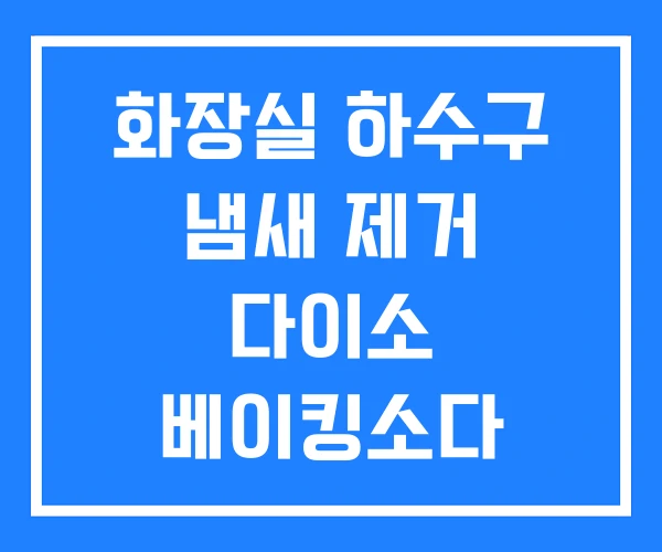 화장실 하수구 냄새 제거 다이소 베이킹소다