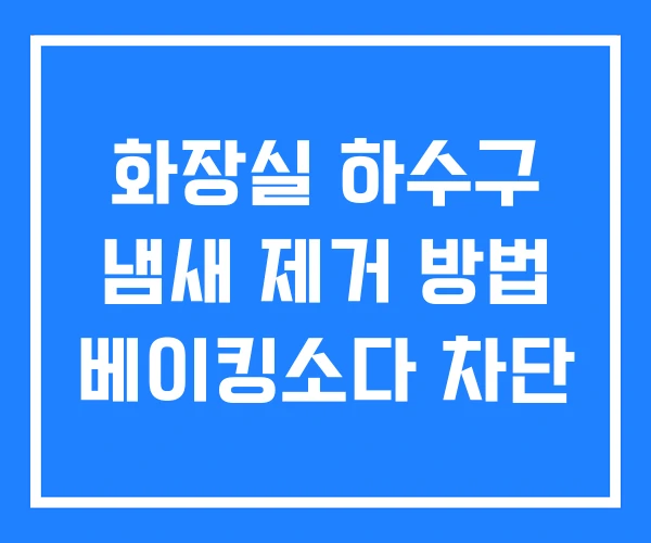 화장실 하수구 냄새 제거 방법 베이킹소다 차단