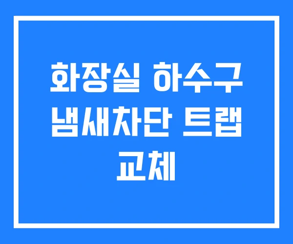 화장실 하수구 냄새차단 트랩 교체