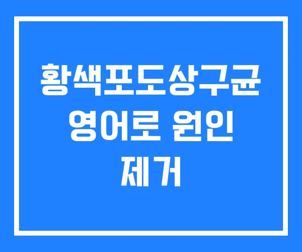 황색포도상구균 영어로 원인 제거 황색포도상구균 영어로 원인 제거